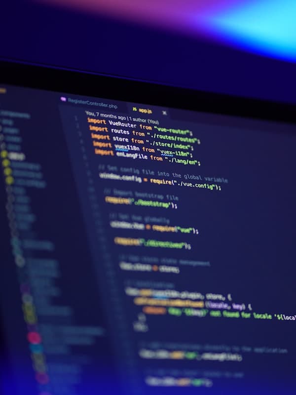 Software Customization & Integration